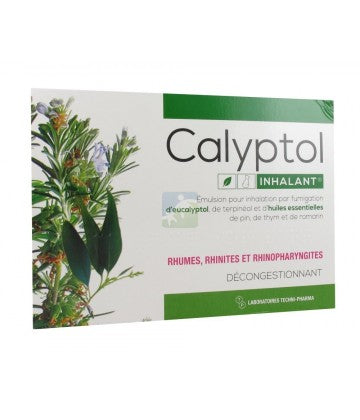 CALYPTOL 10 AMP 5 ML INH