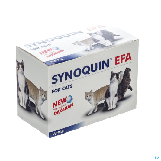 SYNOQUIN EFA CHAT 3*30 CAPS VET