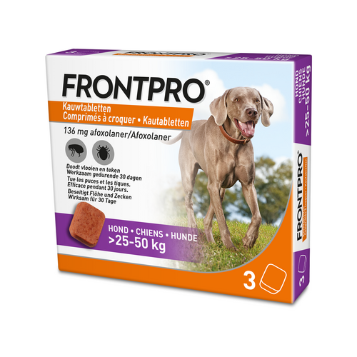 FRONTPRO CHIEN XL 3 CPR A CROQUER 25-50KG
