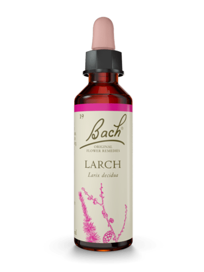 BACH ORIGINAL LARCH 20 ML NR19