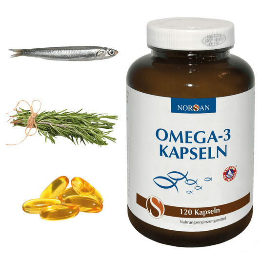 NORSAN OMEGA 3 CAPSULES 120 CAPS