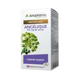 ARKOGELULES ANGELIQUE 45 GEL