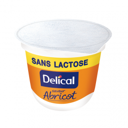 DELICAL CREME SANS LACTOSE ABRICOT 125G