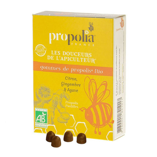 PROPOLIA GOMMES BIO GING-CITR SACH 45G