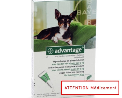 ADVANTAGE 40 CHIEN < 4 KG 4*0,4 ML