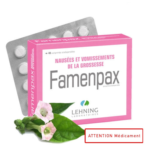 FAMENPAX 2*20 CPR ORODIS