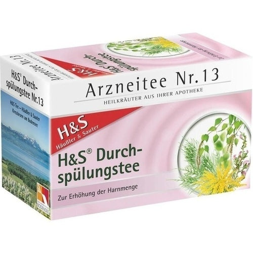 H+S DURCHSPUELUNGSTEE 20 SACH       NR13