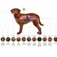 ADVOCATE SPOT ON CHIEN 4-10 KG 21*1 ML