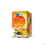BIOLYS THE VERT-AGRUMES INF BIO 24 SACH