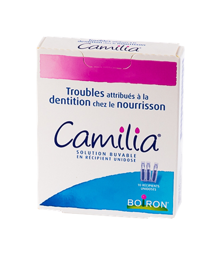 CAMILIA SOL BUV 10 FL UD