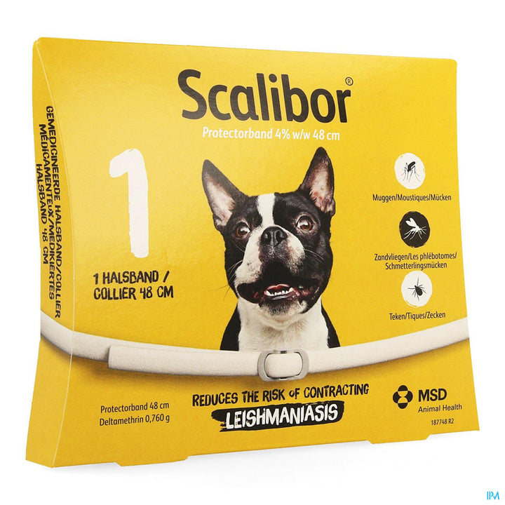 SCALIBOR COLLIER S/M 48 CM