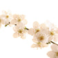 BACH 112 INEBIOS CHERRY PLUM 10 ML 6