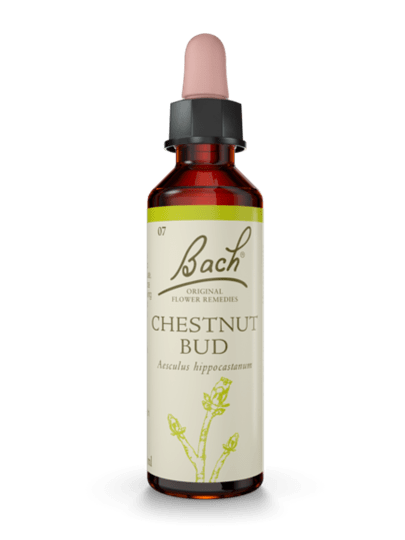 BACH ORIGINAL CHESTNUT BUD 20 ML    NR 7