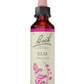 BACH ORIGINAL ELM 20 ML             NR11
