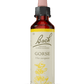 BACH ORIGINAL GORSE 20 ML           NR13