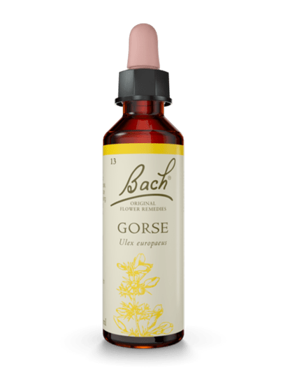BACH ORIGINAL GORSE 20 ML           NR13