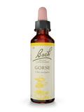 BACH ORIGINAL GORSE 20 ML           NR13