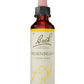 BACH ORIGINAL HORNBEAM 20 ML        NR17