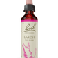 BACH ORIGINAL LARCH 20 ML           NR19