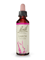 BACH ORIGINAL LARCH 20 ML           NR19