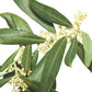 BACH 112 INEBIOS OLIVE 10 ML 23