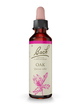 BACH ORIGINAL OAK 20 ML             NR22
