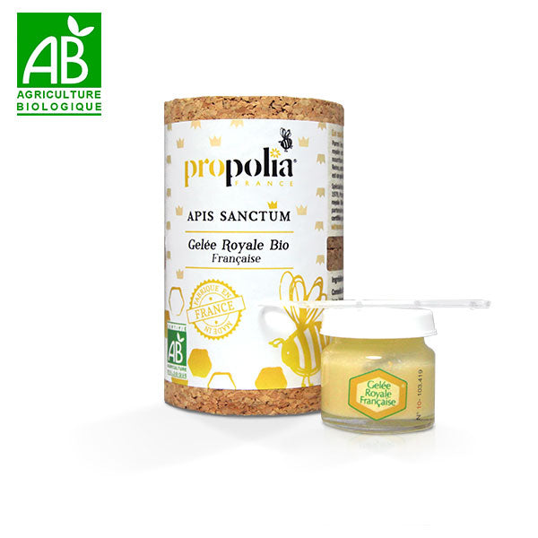 PROPOLIA GELEE ROYALE BIO 1 G 10 AMP