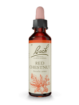 BACH ORIGINAL RED CHESNUT 20 ML     NR25