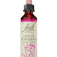 BACH ORIGINAL STAR OF BETLEHEM 20ML NR29