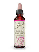 BACH ORIGINAL STAR OF BETLEHEM 20ML NR29