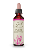 BACH ORIGINAL SWEET CHESNUT 20 ML   NR30