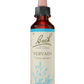BACH ORIGINAL VERVAIN 20 ML         NR31
