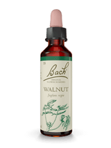 BACH ORIGINAL WALNUT 20 ML          NR33