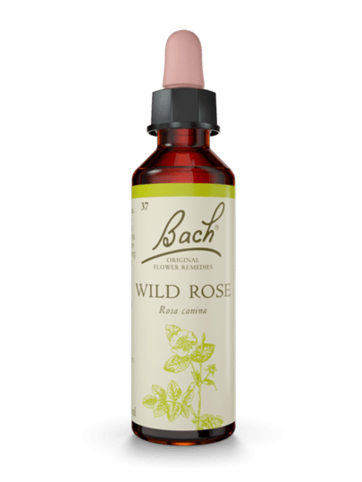 BACH ORIGINAL WILD ROSE 20 ML       NR37