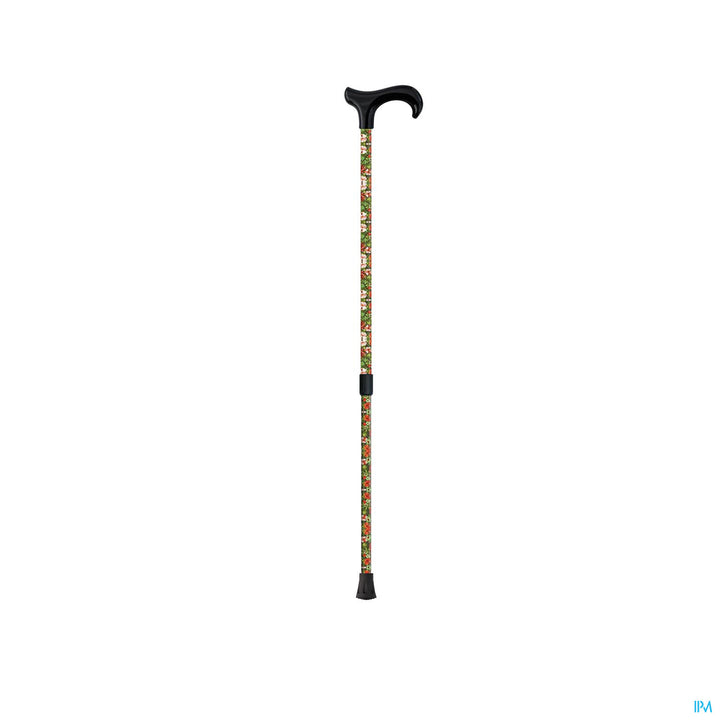 MQ PERFECT CANNE DE MARCHE DERBY FLEURS