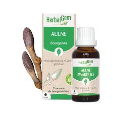 HERBALGEM AULNE BIO 30 ML