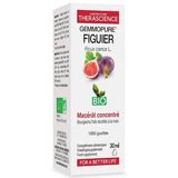 PHYTOMANCE GEMMOPURE FIGUIER 30ML