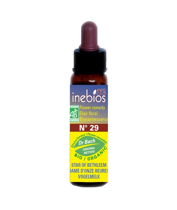 BACH 112 INEBIOS STAR BETHLEHEM 10 ML 29