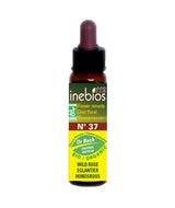 BACH 112 INEBIOS WILD ROSE 10 ML 37