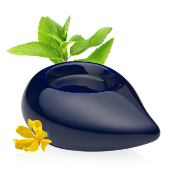 PURESSENTIEL DIFFUSEUR CHAL DOUCE BLEU