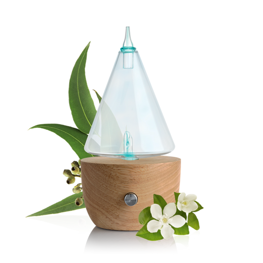 PURESSENTIEL DIFFUSEUR I'CONIC