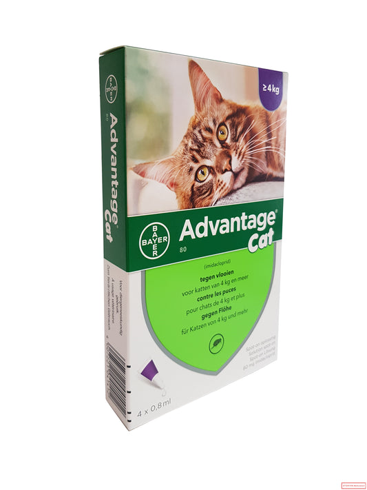 ADVANTAGE 80 CHAT &gt; 4 KG 4*0,8 ML