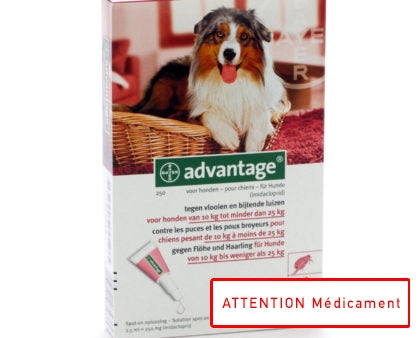 ADVANTAGE 250 CHIEN &gt; 10 KG 4*2,5 ML