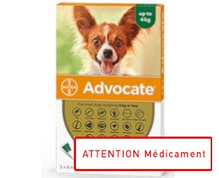 advocate chien