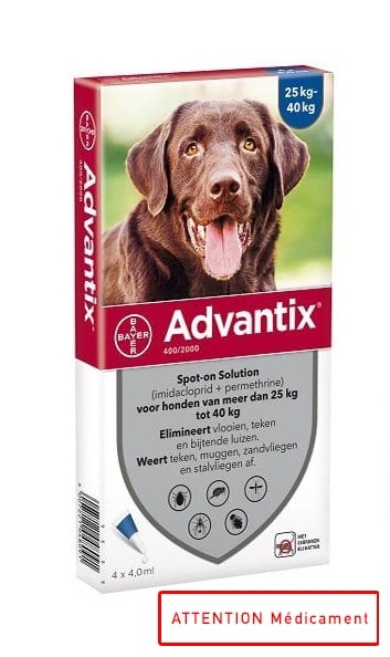 ADVANTIX 400/2000 SPOT ON CHIEN 6*4 ML