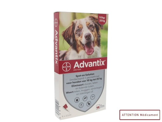 ADVANTIX 250/1250 SPOT ON CHIEN 6*2,5 ML