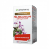 pelargonium-52601-45