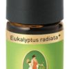 PVL10220-eukalyptus-radiata-bio_600x600