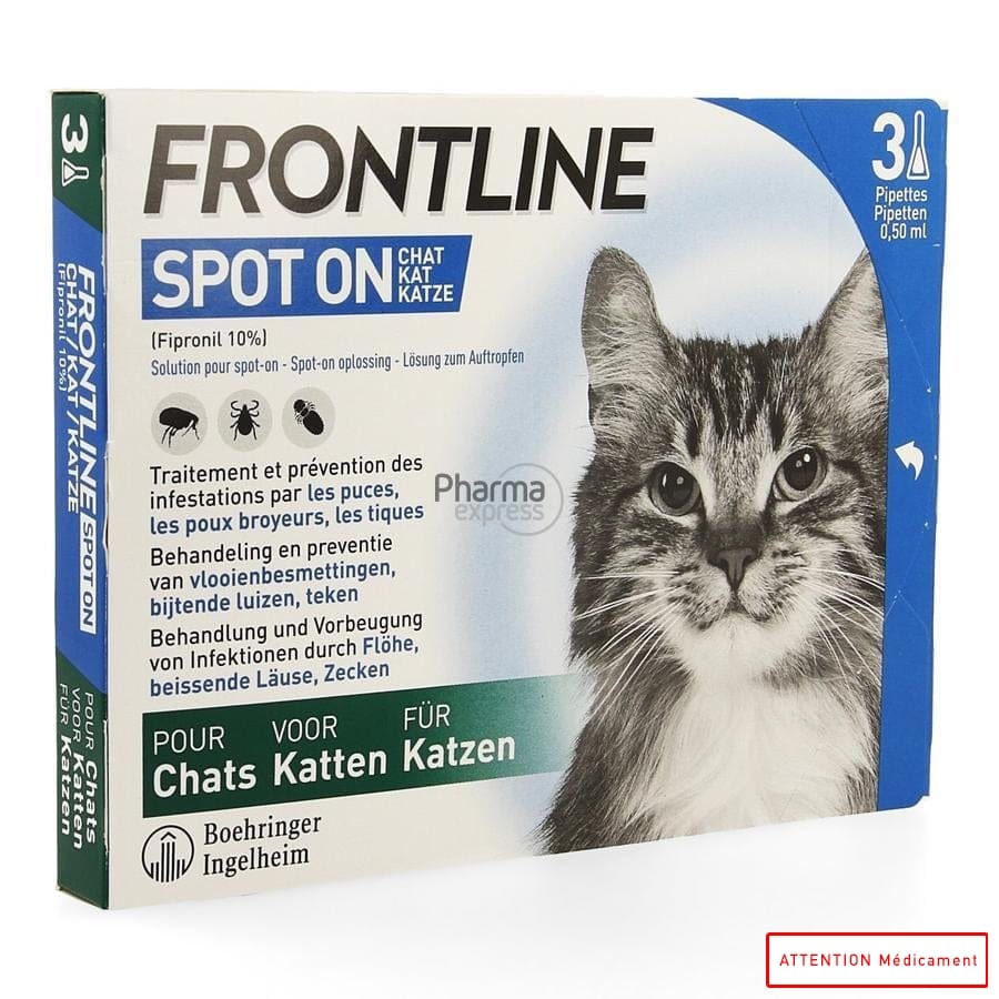 Frontline Katze Test